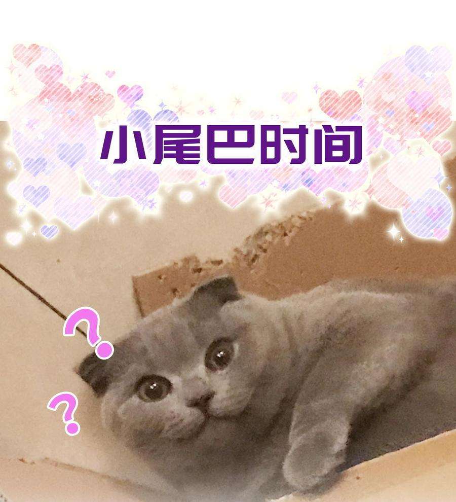 95.jpg