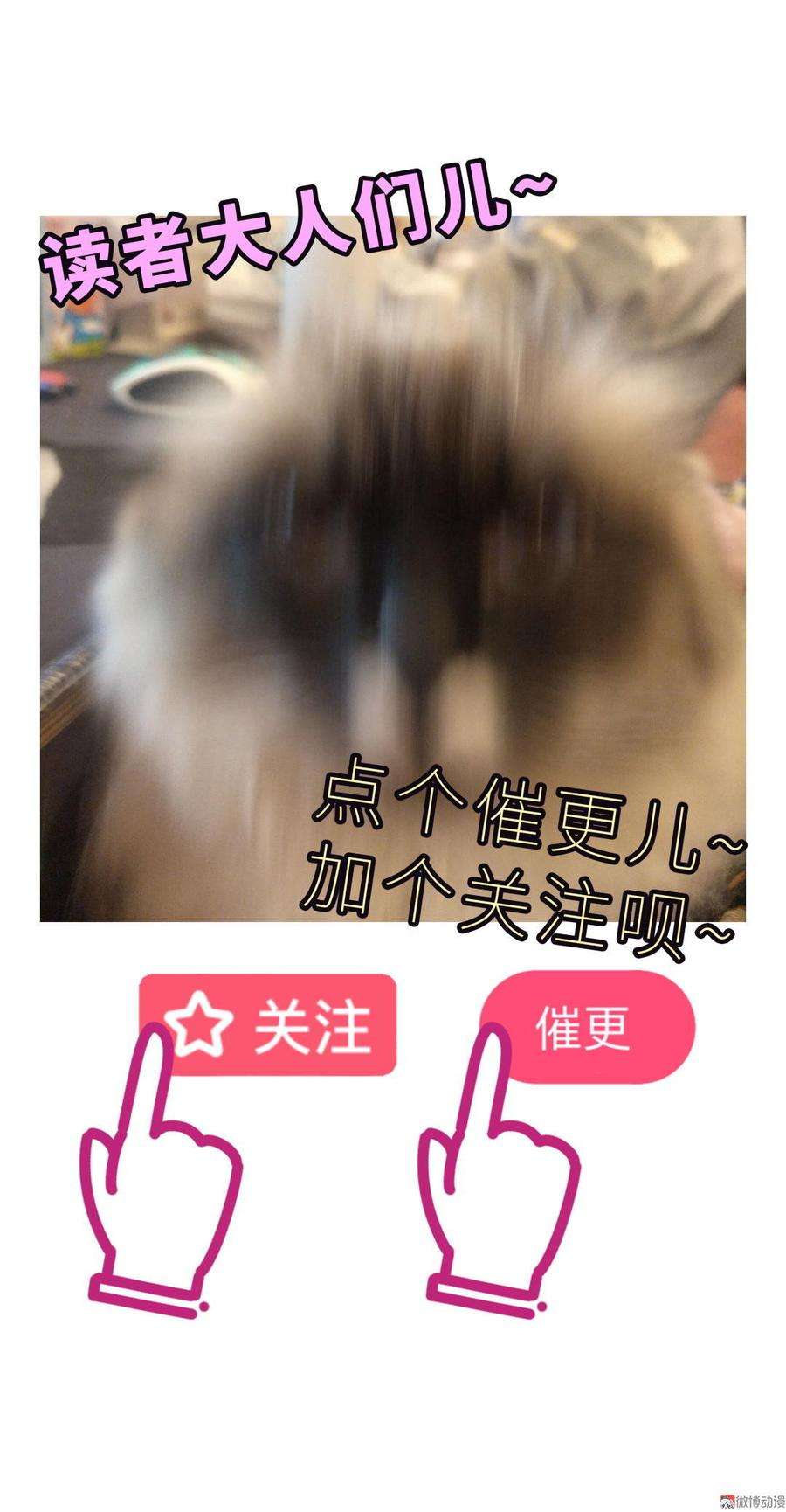 113.jpg