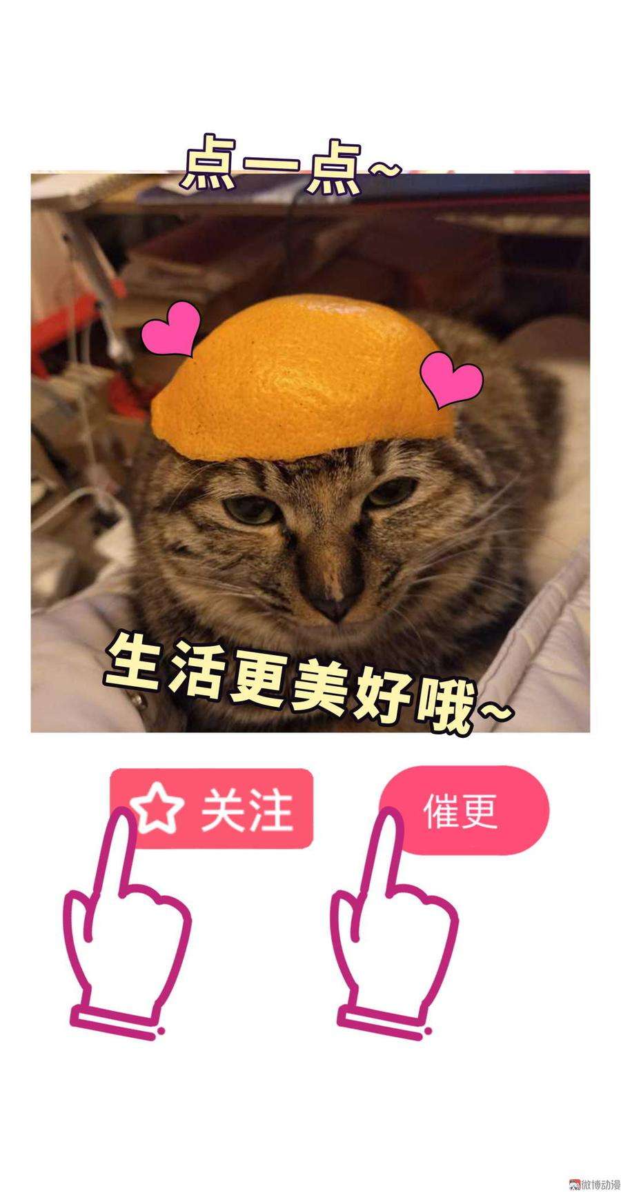 87.jpg