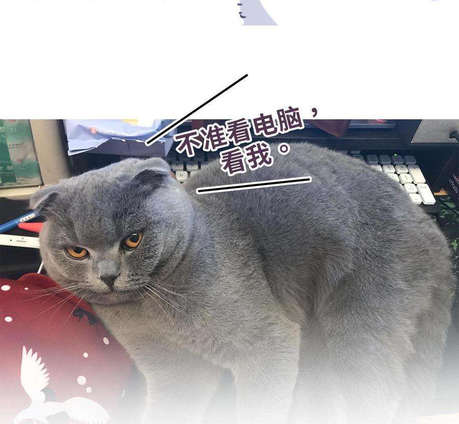 84.jpg