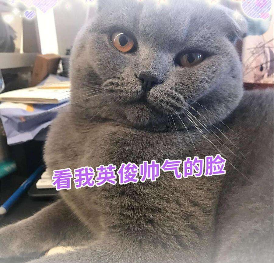 58.jpg