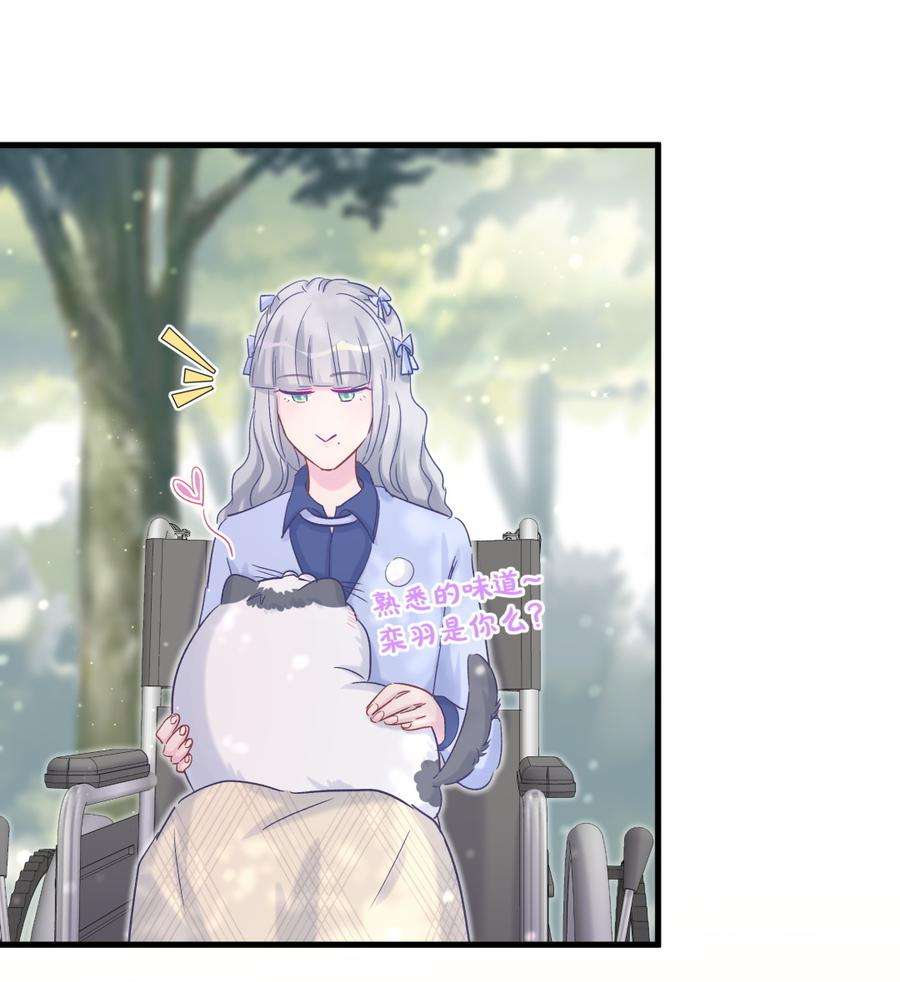 52.jpg
