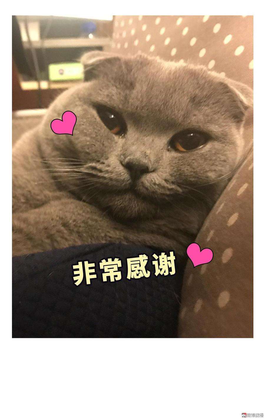 68.jpg