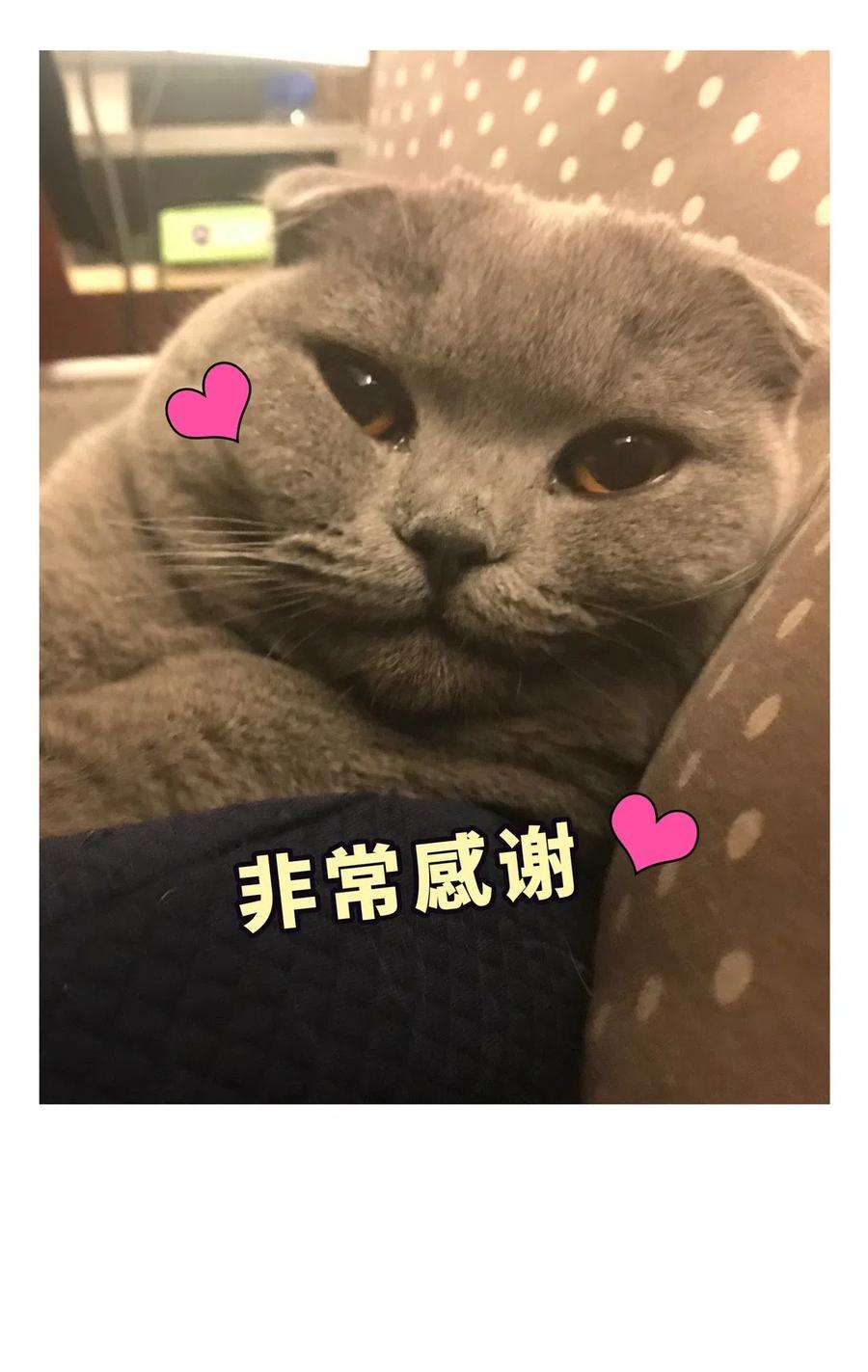 51.jpg