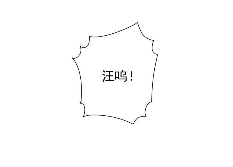 100.jpg