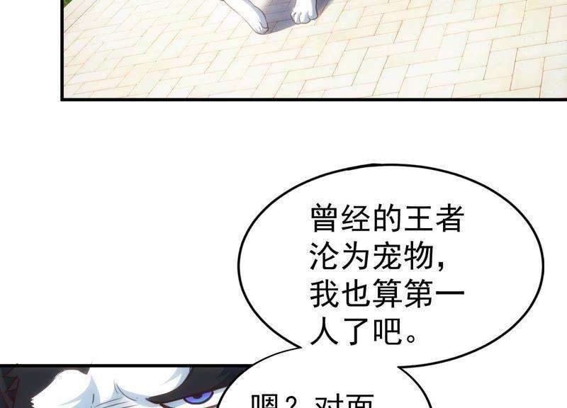 104.jpg