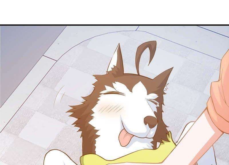 60.jpg