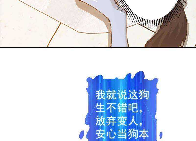 62.jpg