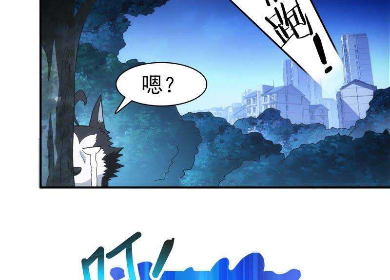 37.jpg