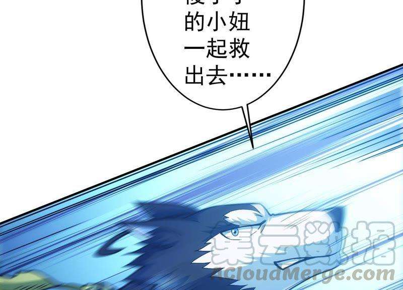 43.jpg