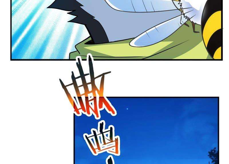 79.jpg