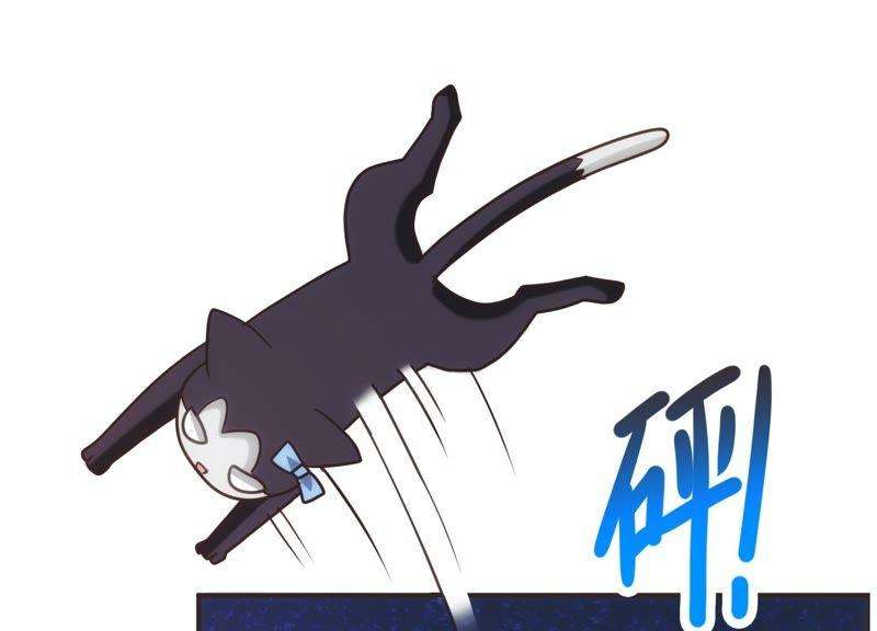 95.jpg