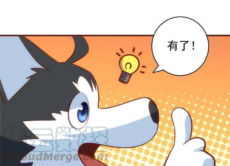 41.jpg
