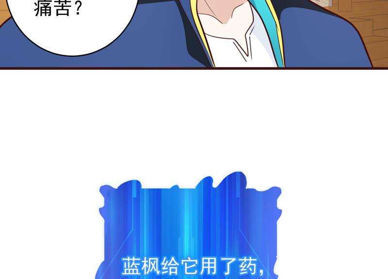 63.jpg
