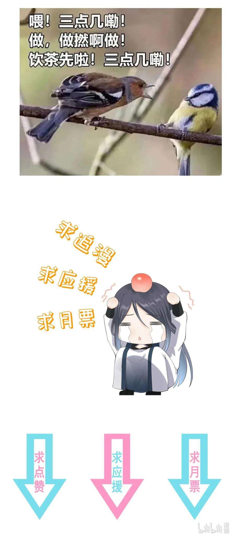 40.jpg