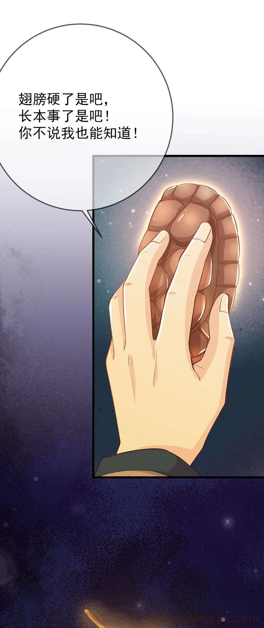 33.jpg