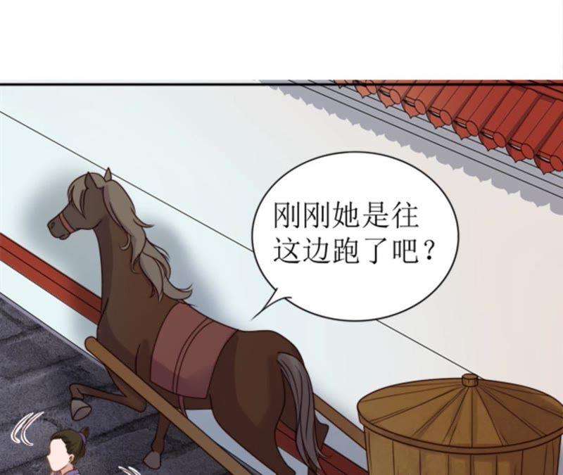 97.jpg