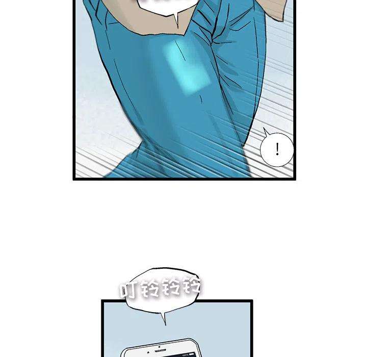 49.jpg