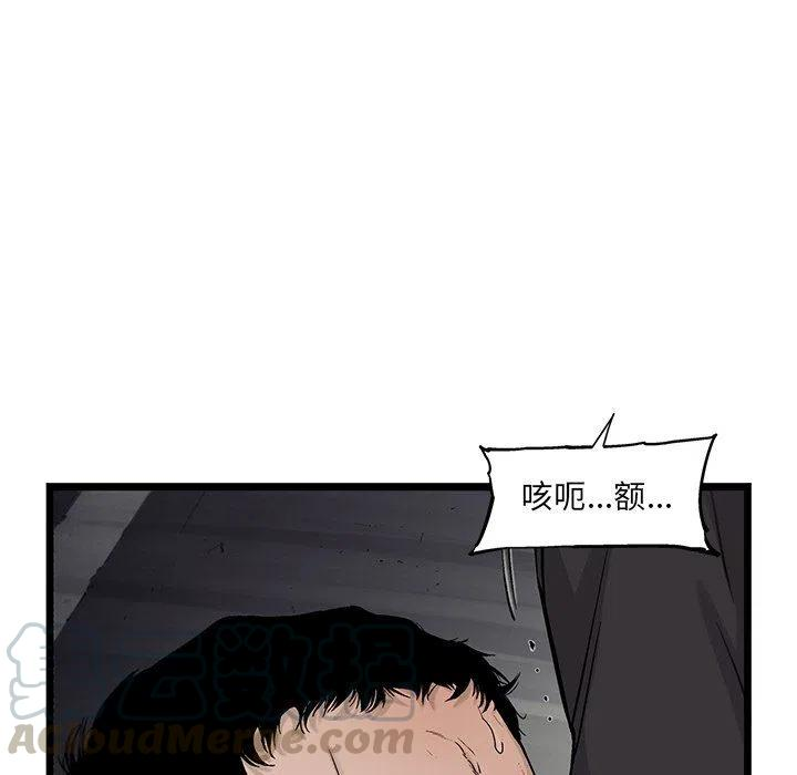 88.jpg