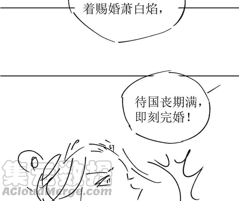 85.jpg