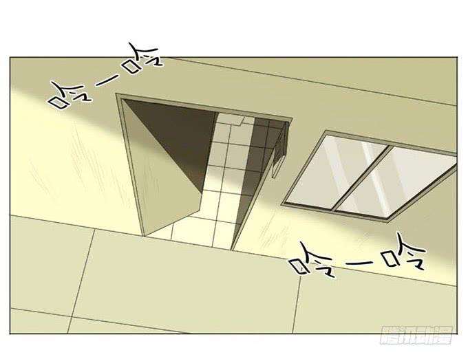 35.jpg