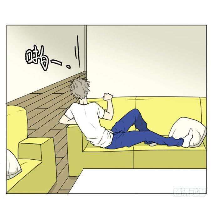27.jpg