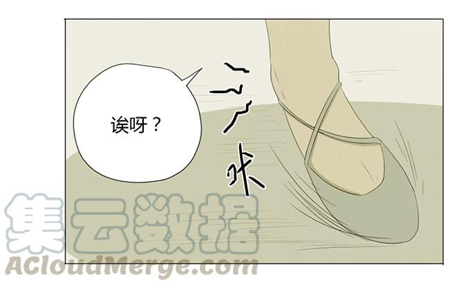 51.jpg