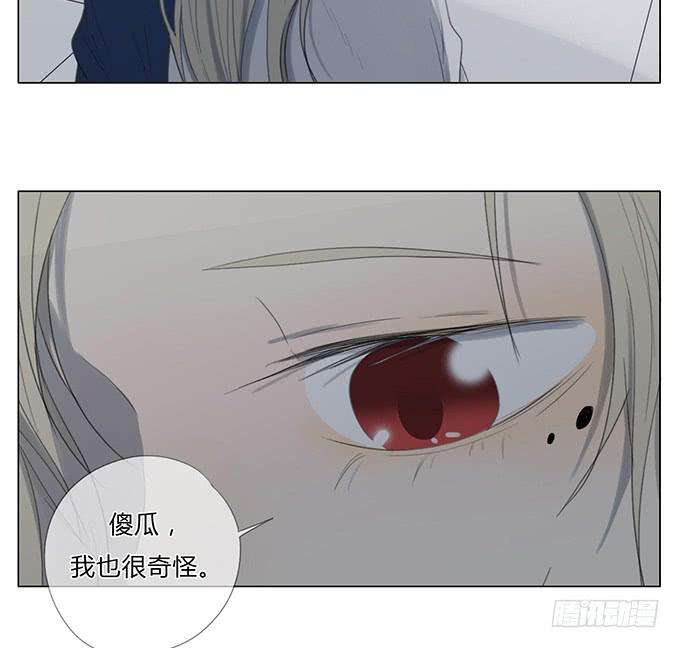48.jpg