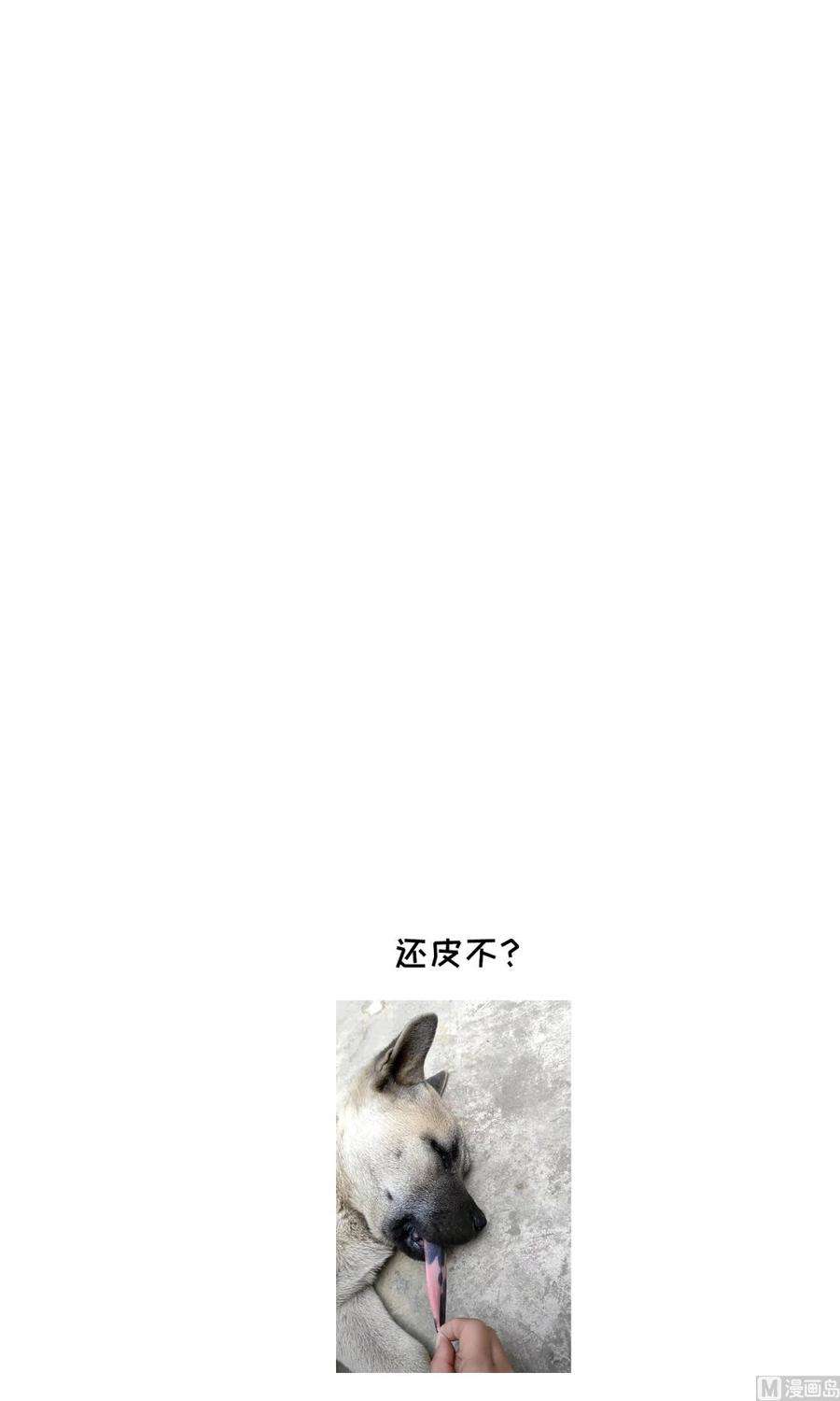 68.jpg