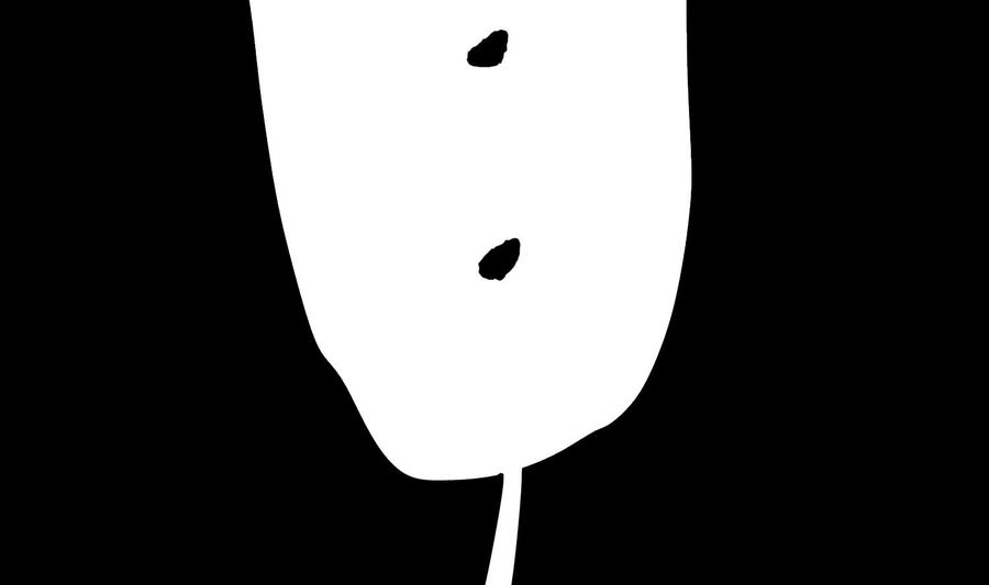 59.jpg