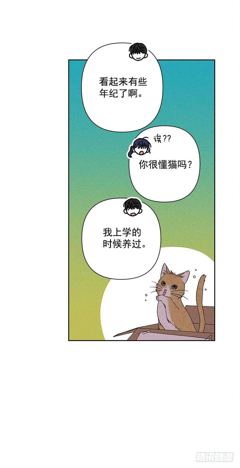 26.jpg