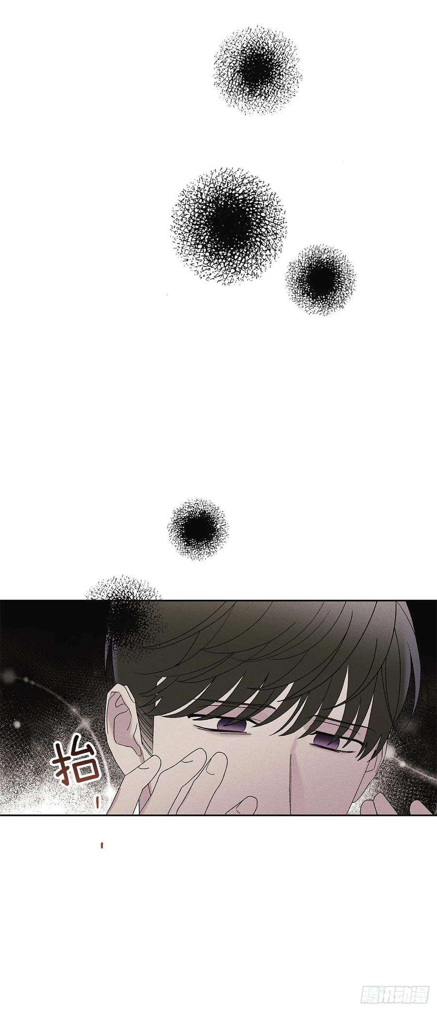 48.jpg