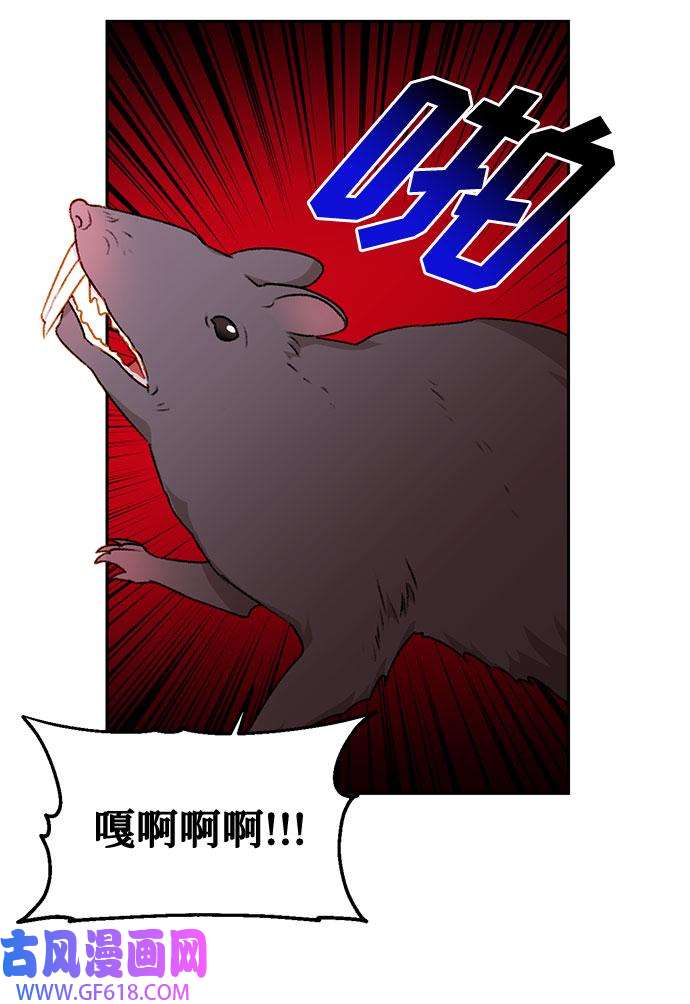 45.jpg