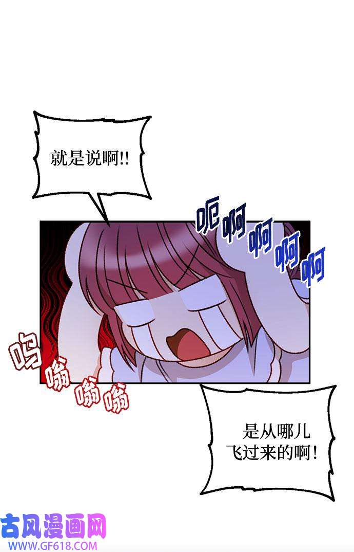 34.jpg