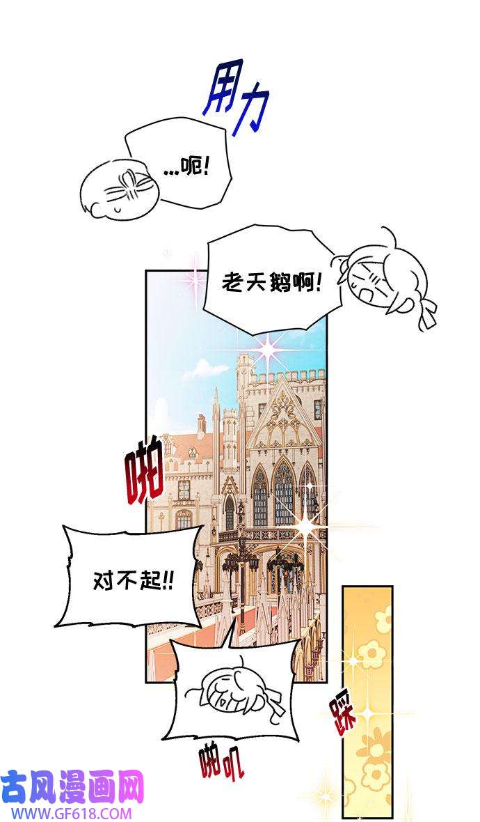 40.jpg