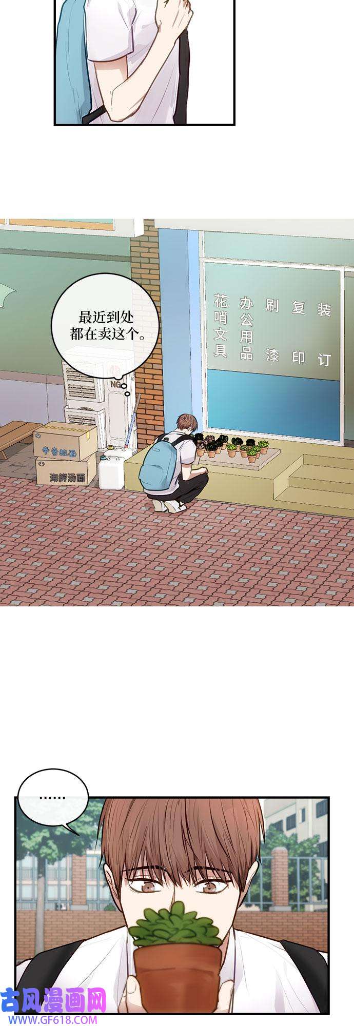 13.jpg