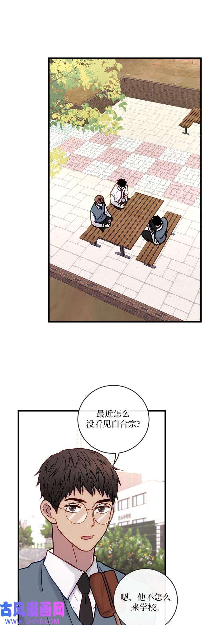 12.jpg