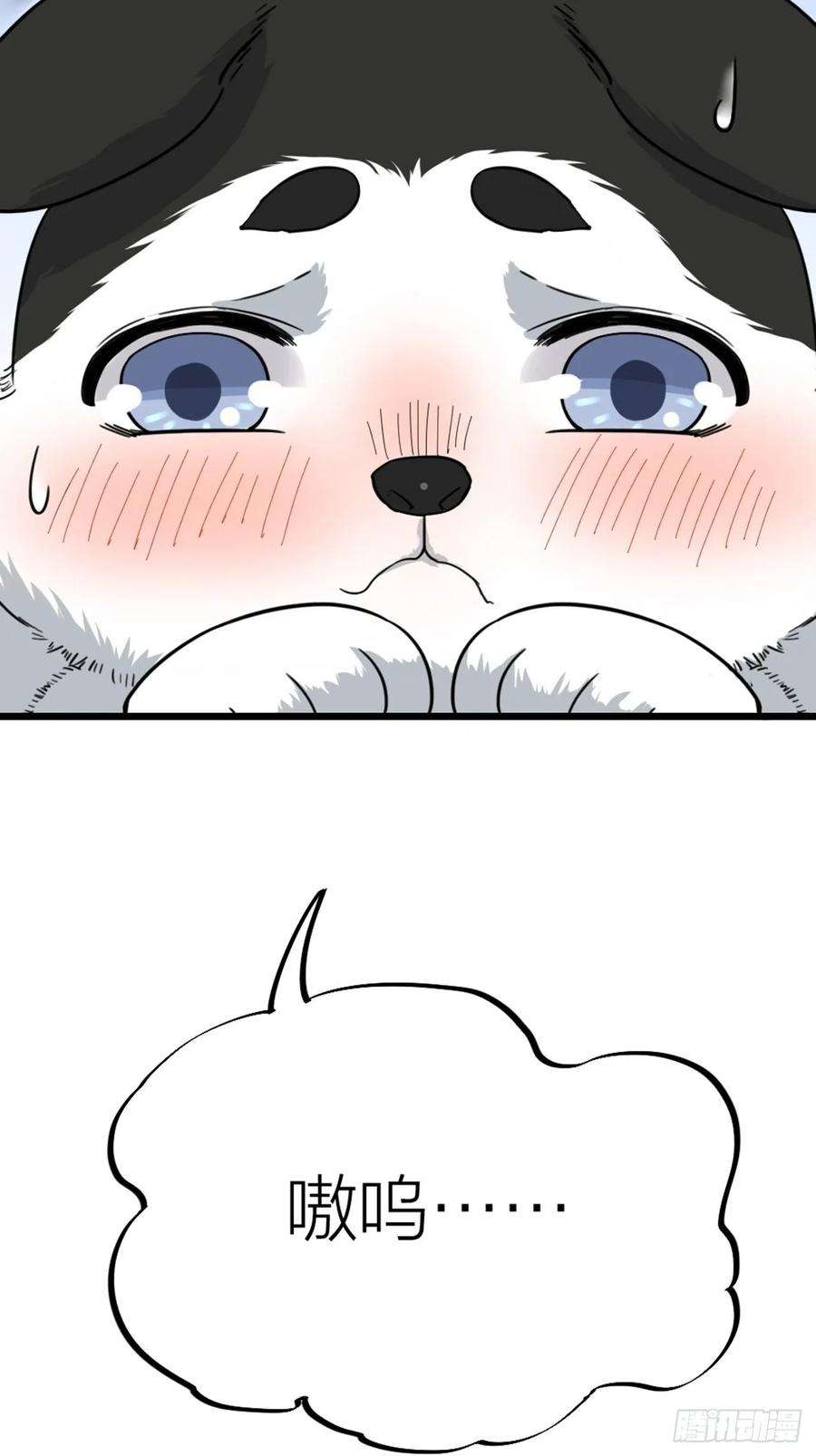 39.jpg