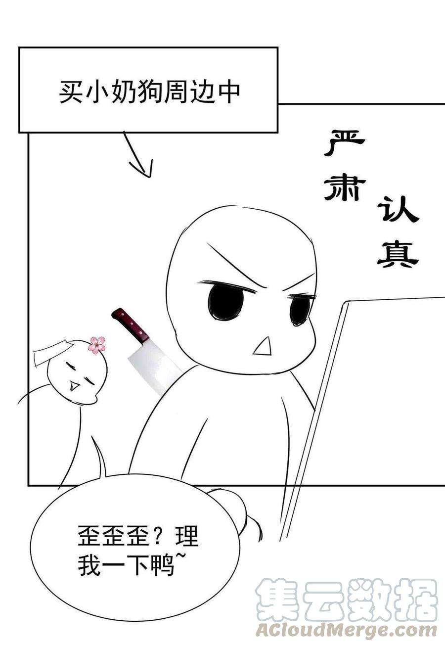 51.jpg