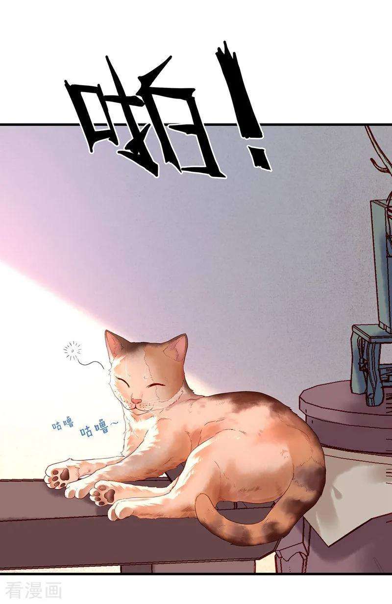 26.jpg