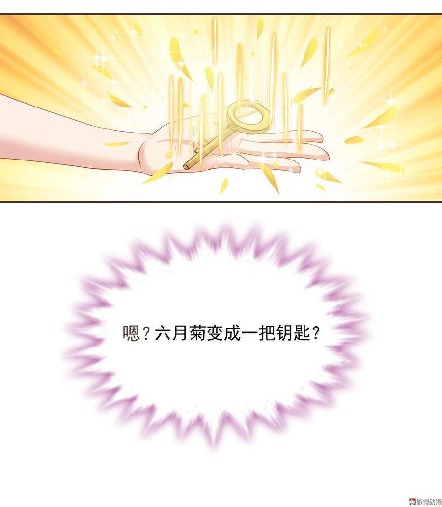 15.jpg