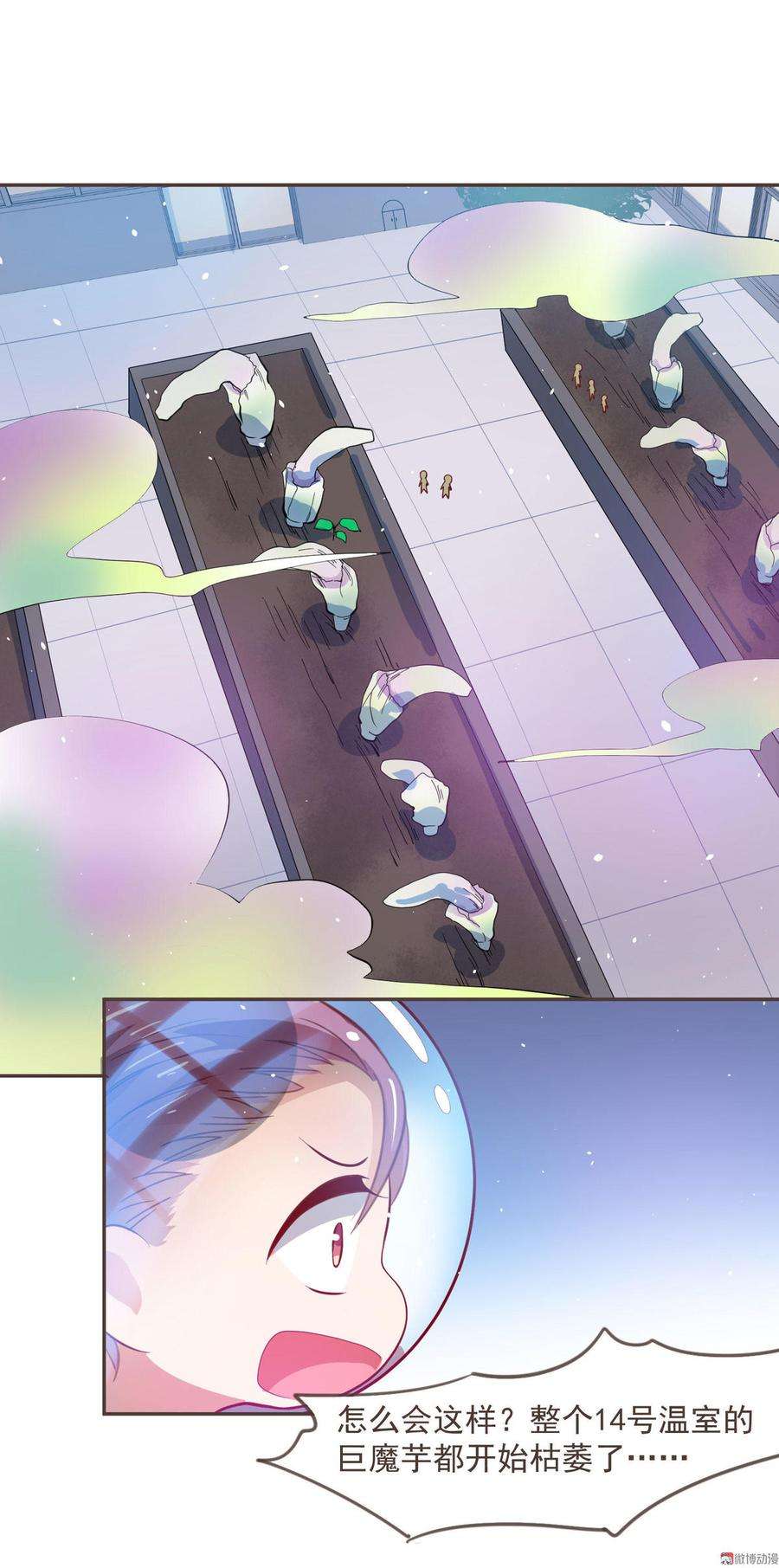 15.jpg