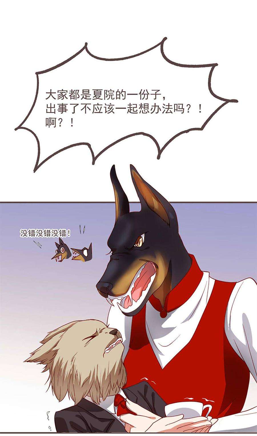 6.jpg