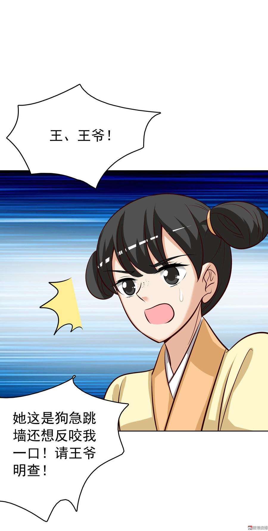 5.jpg
