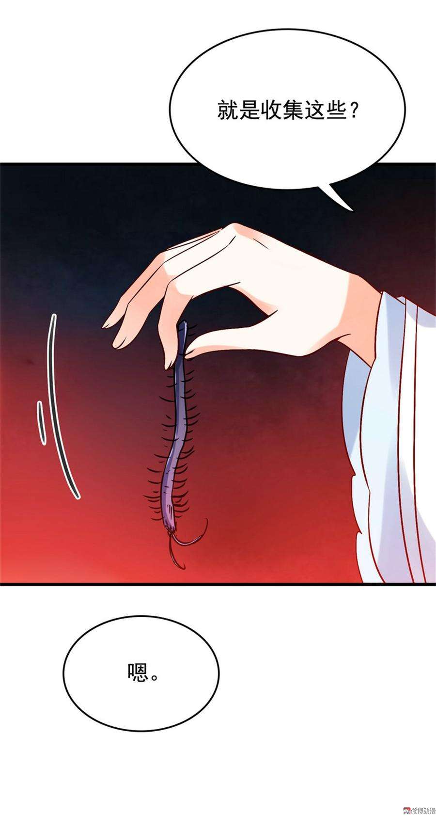 12.jpg