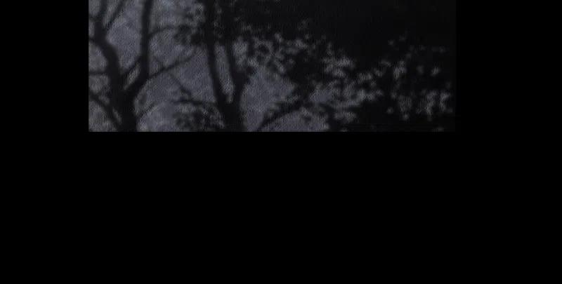 104.jpg