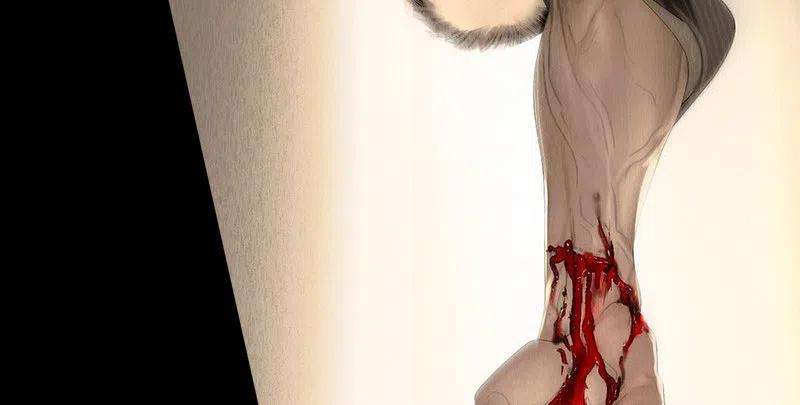 58.jpg