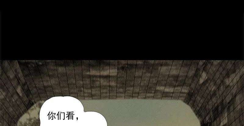 95.jpg