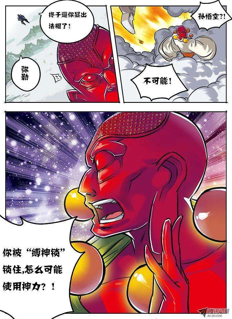 5.jpg