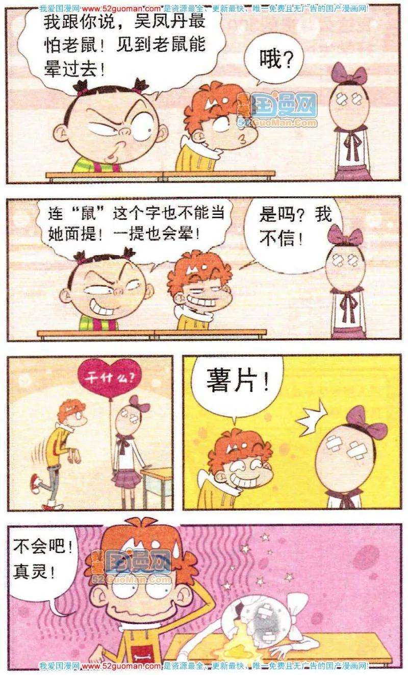 5.jpg